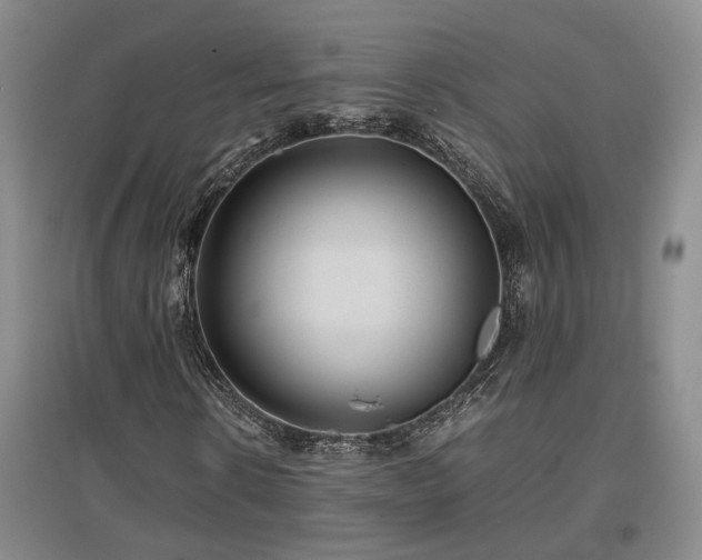 X0000097500914200802221441