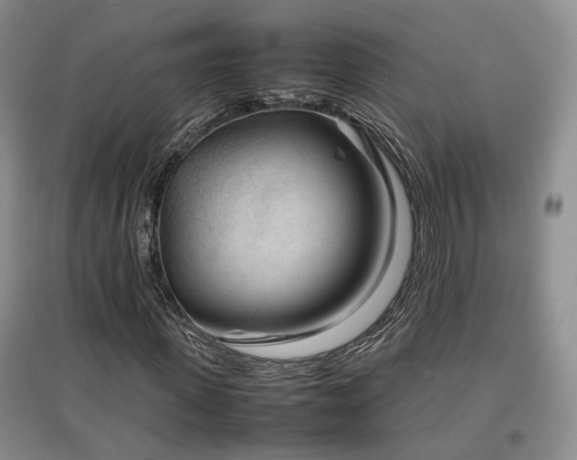 X0000097500915200802221441