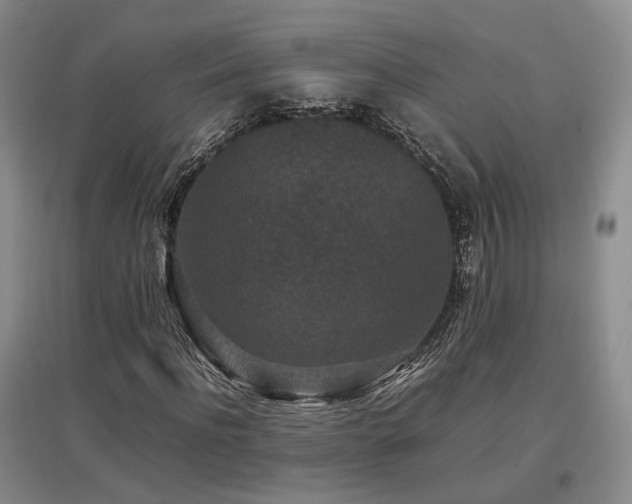 X0000097500916200802221441