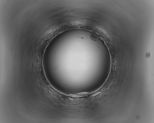 X0000097500917200802221441