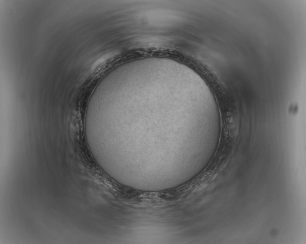 X0000097500918200802221441