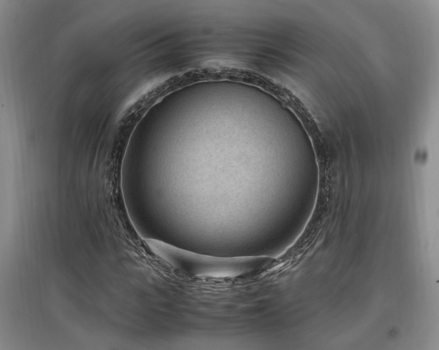 X0000097500919200802221441