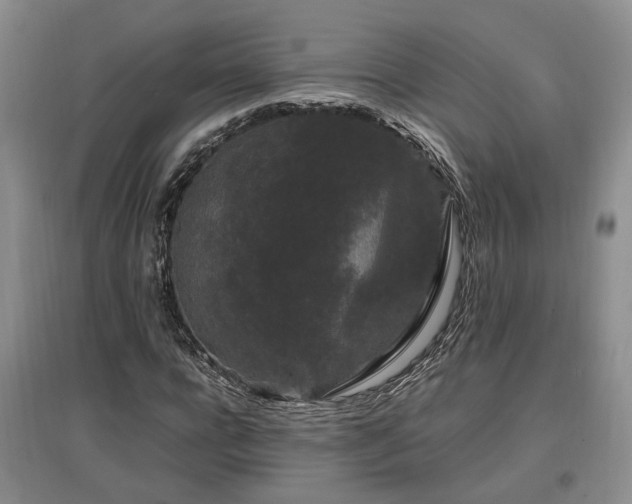 X0000097500920200802221441