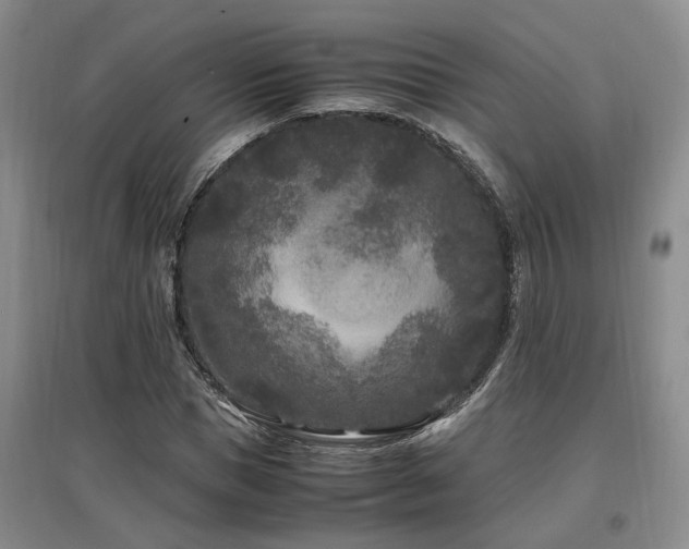 X0000097500921200802221441