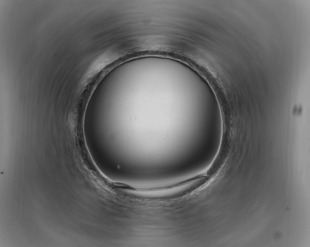 X0000097500922200802221441