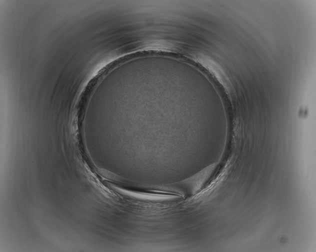 X0000097500923200802221441