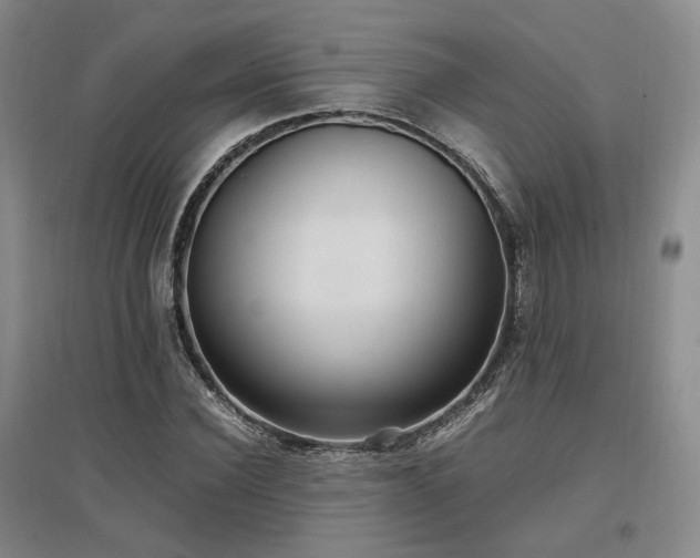 X0000097500924200802221441