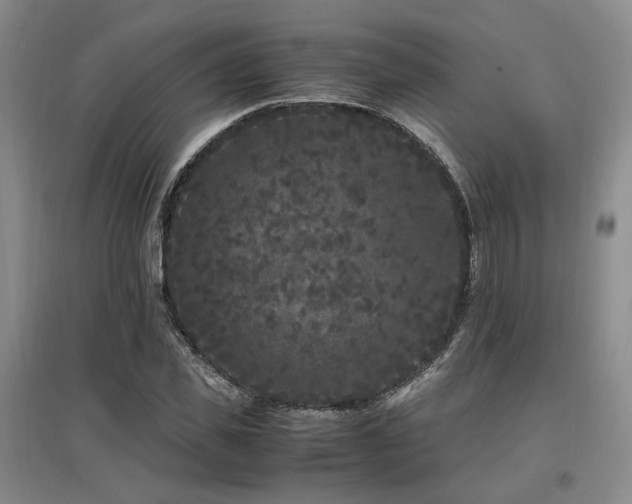 X0000097500925200802221441