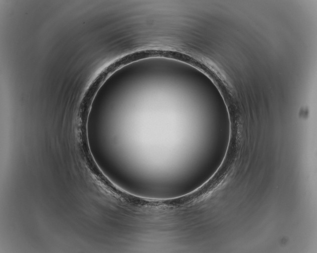 X0000097500926200802221441
