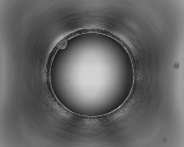 X0000097500927200802221441