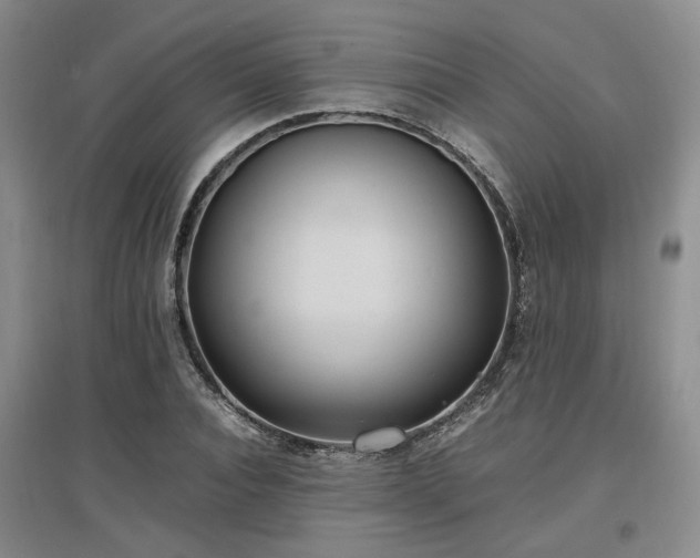 X0000097500928200802221441