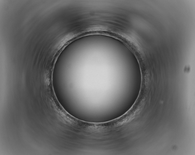 X0000097500929200802221441