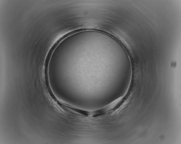 X0000097500932200802221441