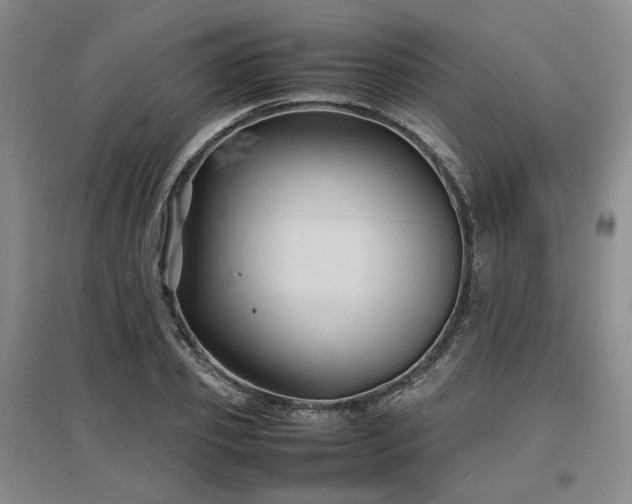 X0000097500933200802221441