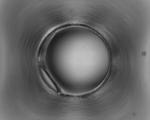 X0000097500934200802221441