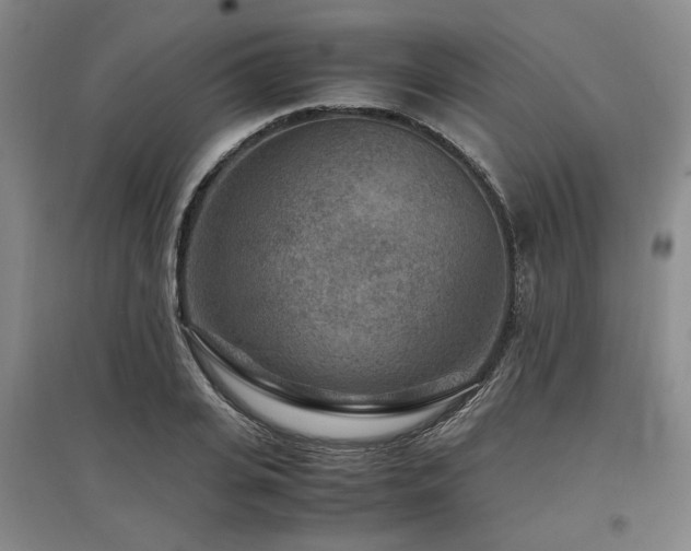 X0000097500935200802221441