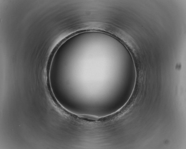 X0000097500936200802221441