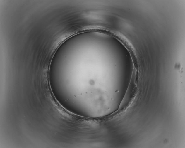 X0000097500937200802221441