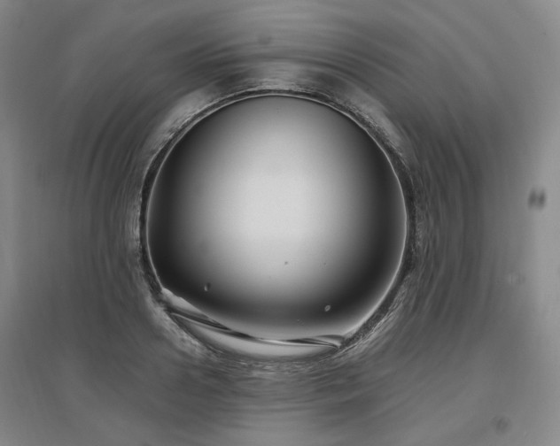 X0000097500938200802221441