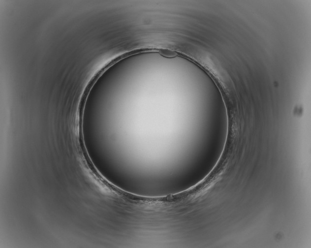 X0000097500940200802221441
