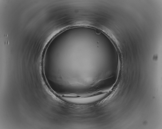 X0000097500941200802221441