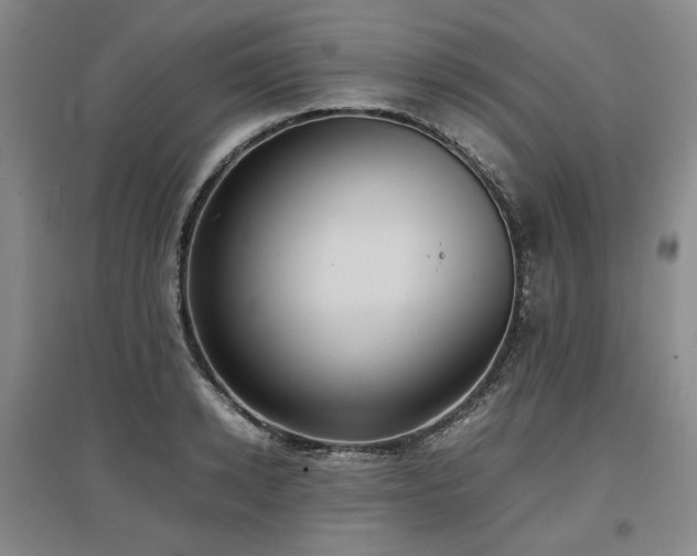 X0000097500942200802221441