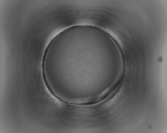 X0000097500943200802221441