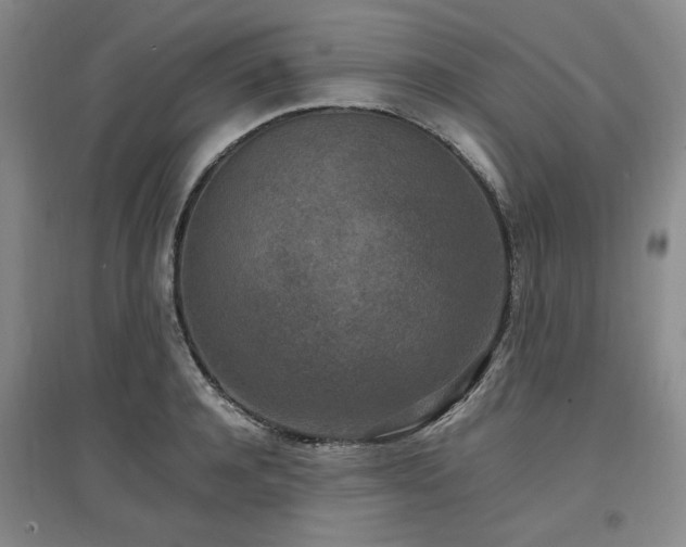 X0000097500944200802221441