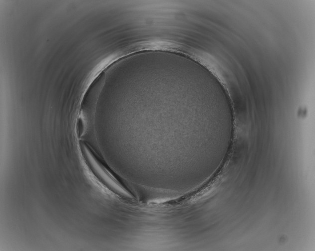 X0000097500946200802221441