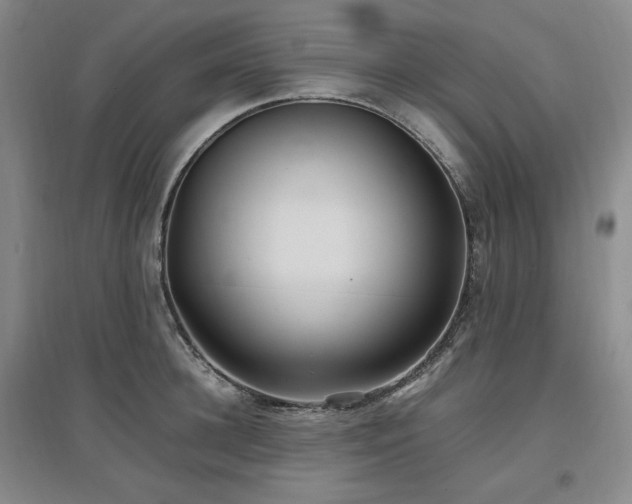 X0000097500948200802221441