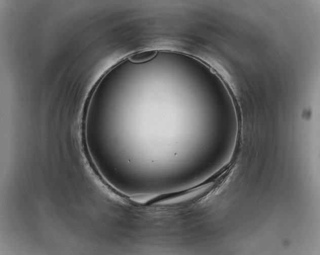 X0000097500949200802221441