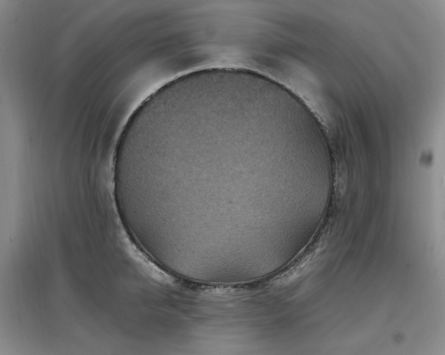 X0000097500950200802221441