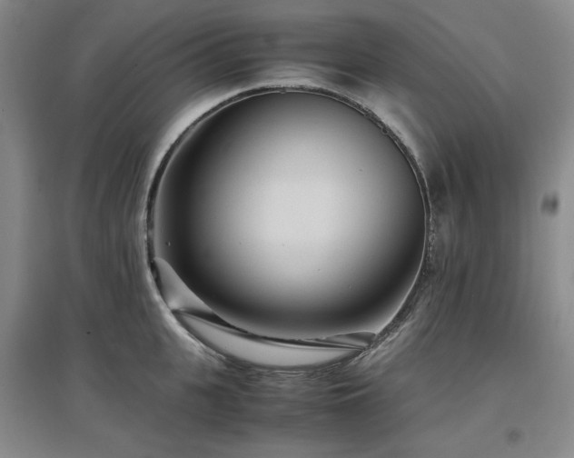 X0000097500951200802221441