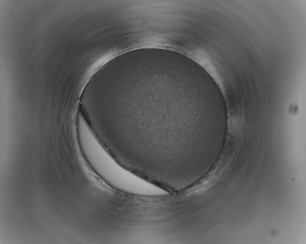 X0000097500954200802221442