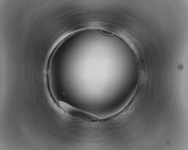 X0000097500955200802221442