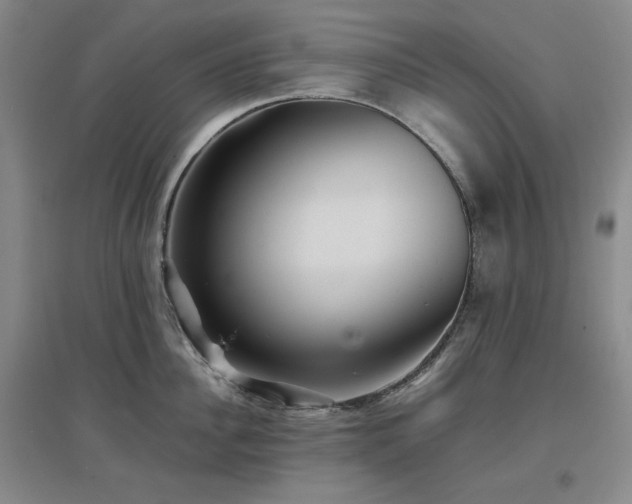 X0000097500956200802221442