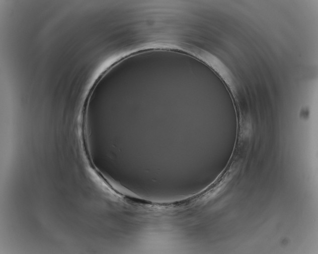 X0000097500958200802221442