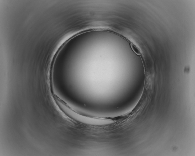 X0000097500959200802221442
