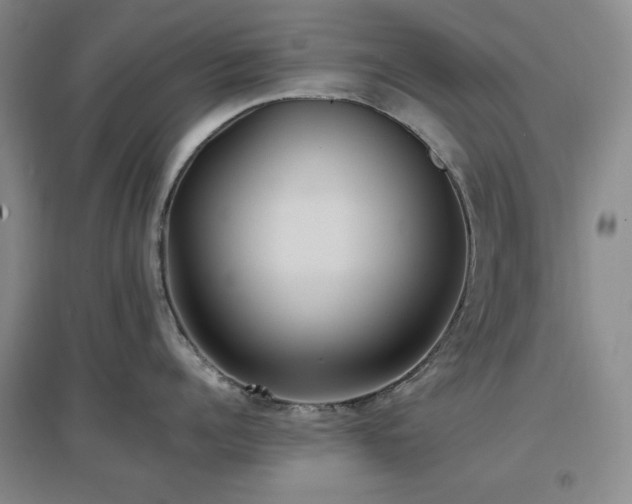 X0000097500960200802221442