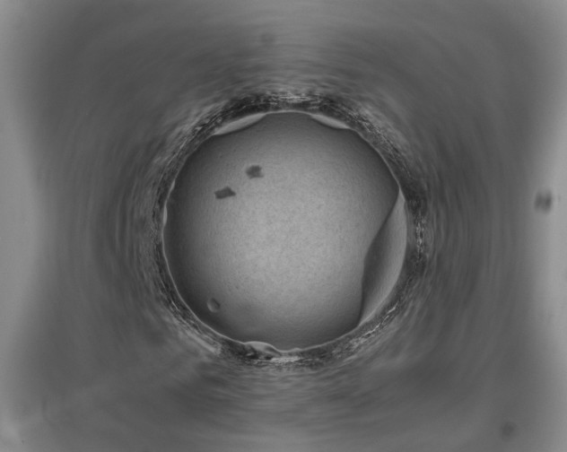 X0000097500961200802221441