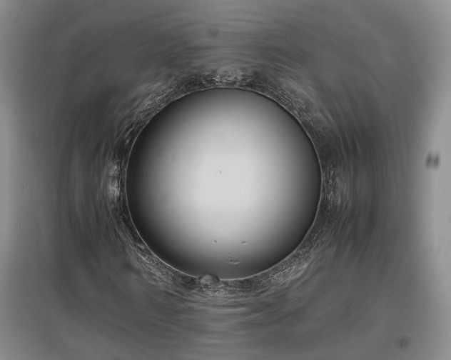 X0000097500962200802221441