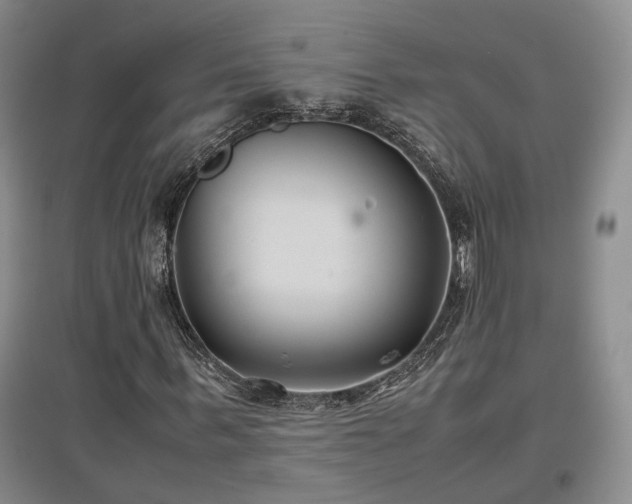 X0000097500963200802221441