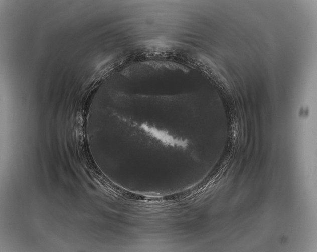 X0000097500964200802221441