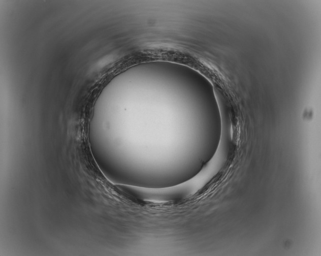 X0000097500965200802221441
