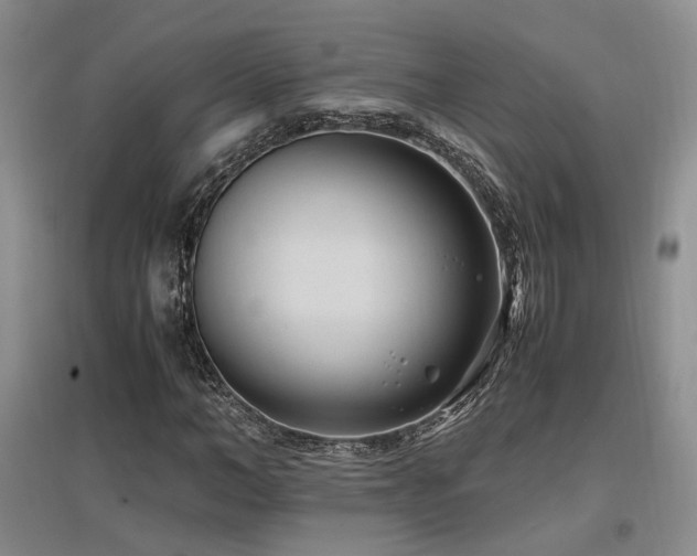 X0000097500966200802221441