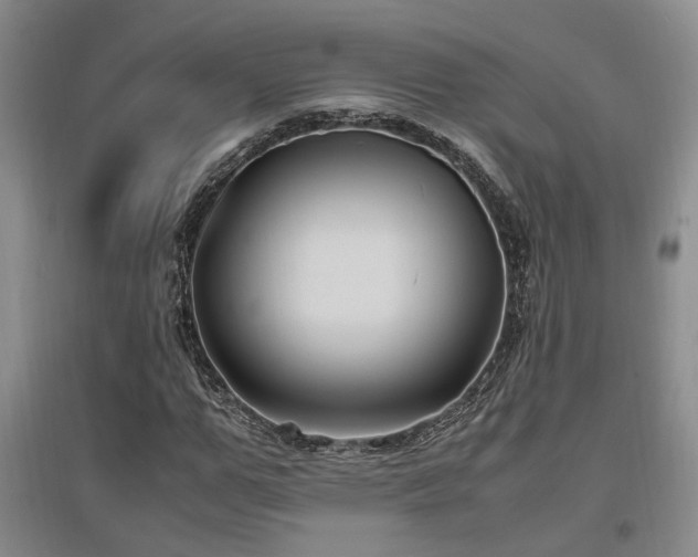 X0000097500967200802221441