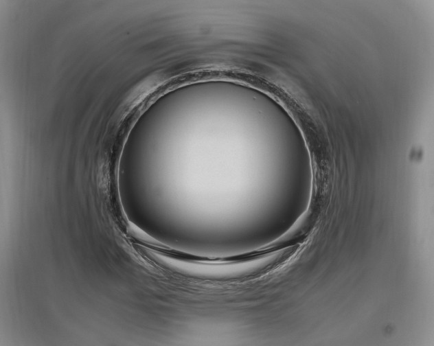 X0000097500969200802221441