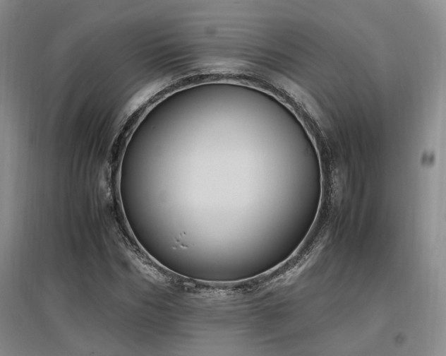 X0000097500970200802221441