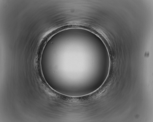 X0000097500971200802221441