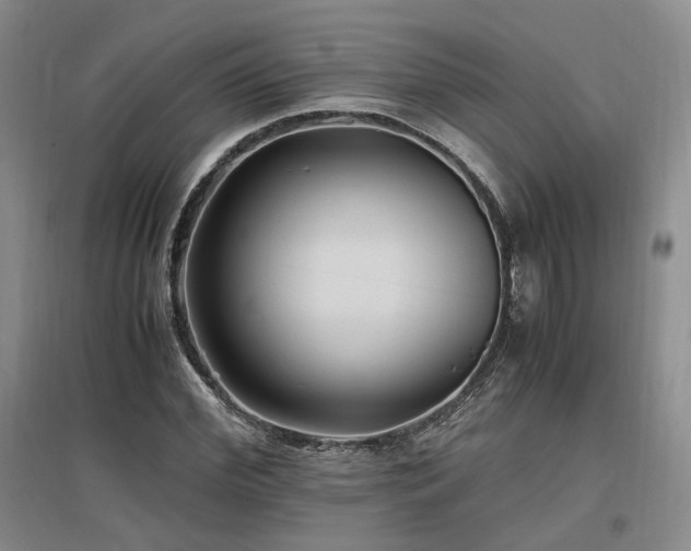 X0000097500972200802221441